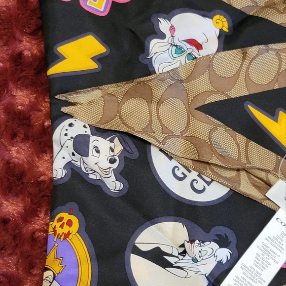DISNEY × COACH SCARF - Picture 8 of 11